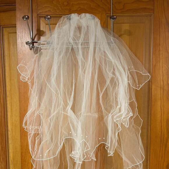 David's Bridal Wedding Bridal White Beaded Veil - Picture 3 of 15